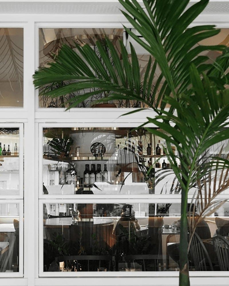 Anther by Glasshouse CHJIMES 1