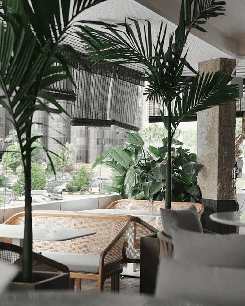 Anther by Glasshouse CHJIMES 3