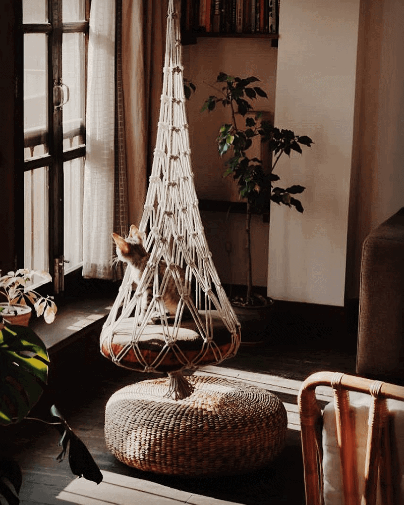 cats of the world purrzaar 3