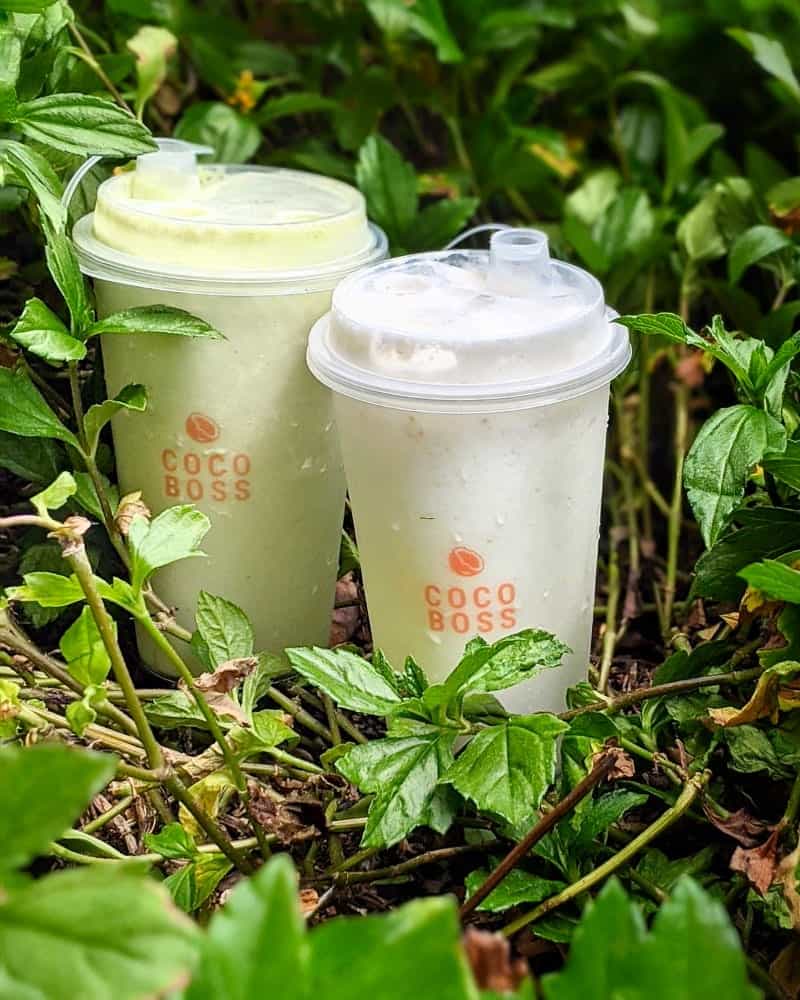 best coconuts shakes singapore cocoboss