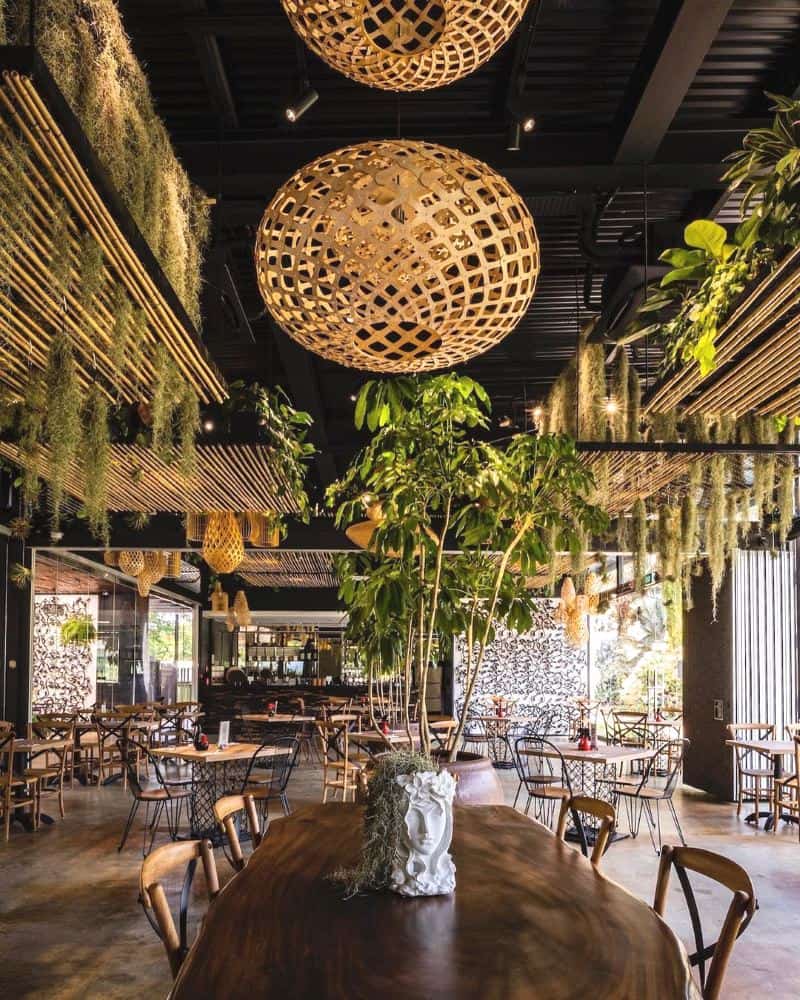 Canopy HortPark dog-friendly cafe singapore