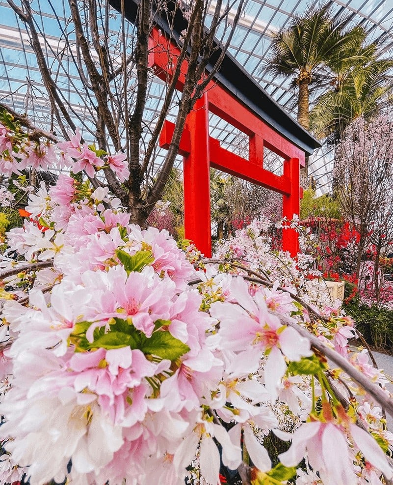 SingapoRediscover Vouchers Activities 5