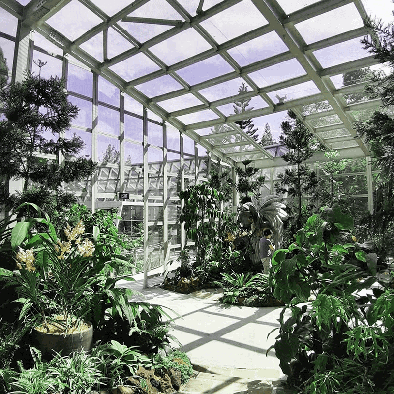 National Orchid Garden 1