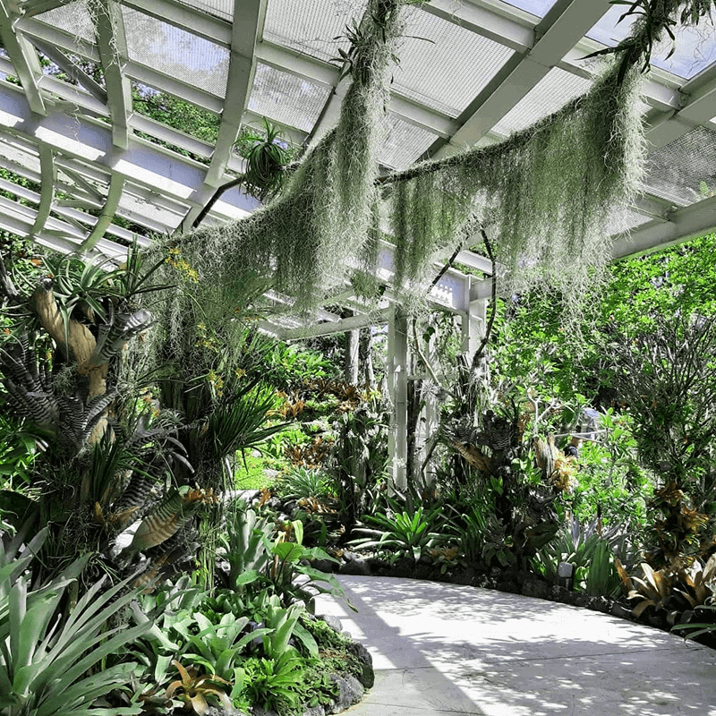 National Orchid Garden 1