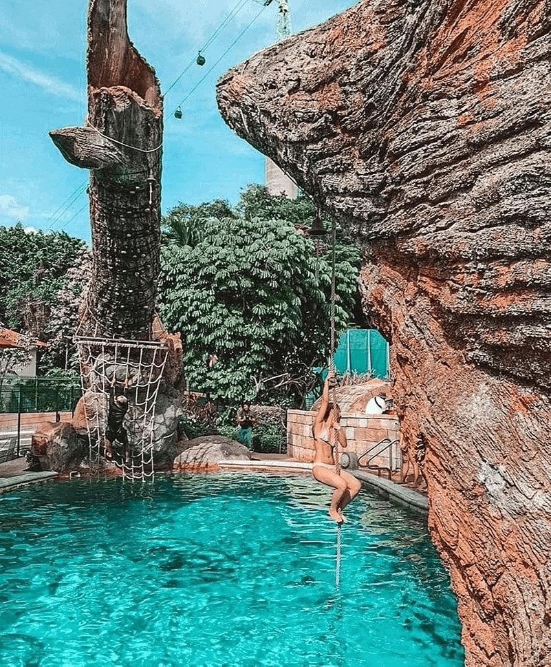 adventure cove waterpark 3