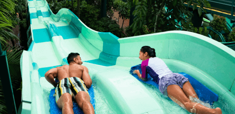 adventure cove waterpark 4