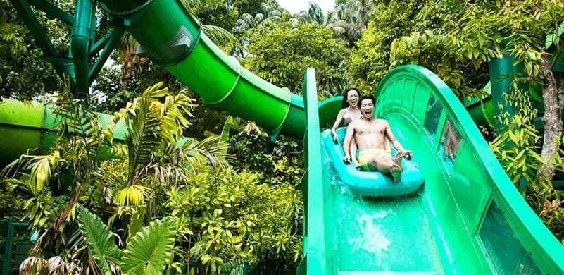 adventure cove waterpark 1