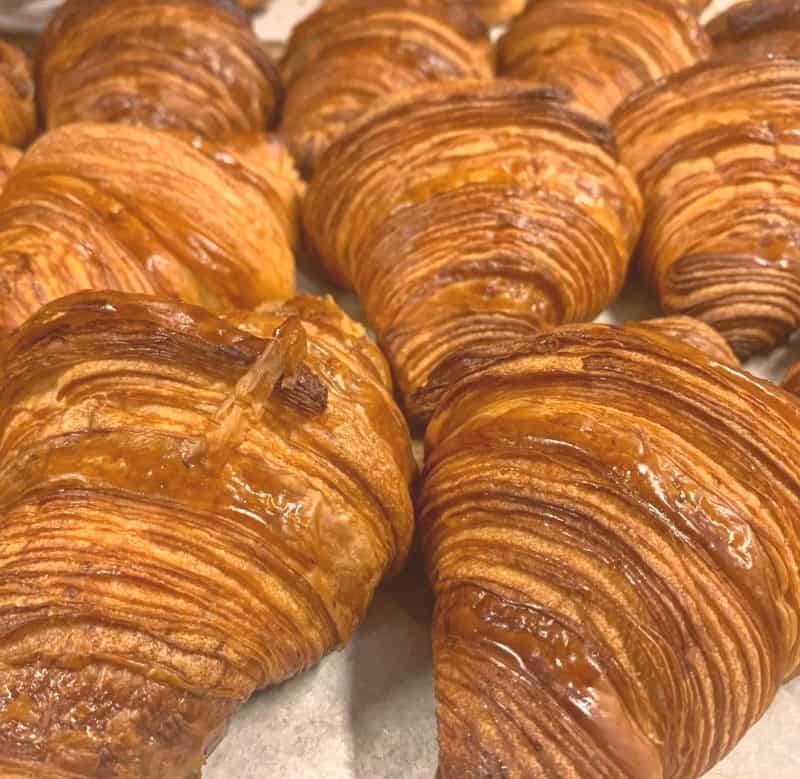 bali on the cove starter lab