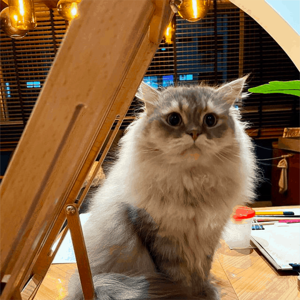 animal cafes singapore wildflower studios