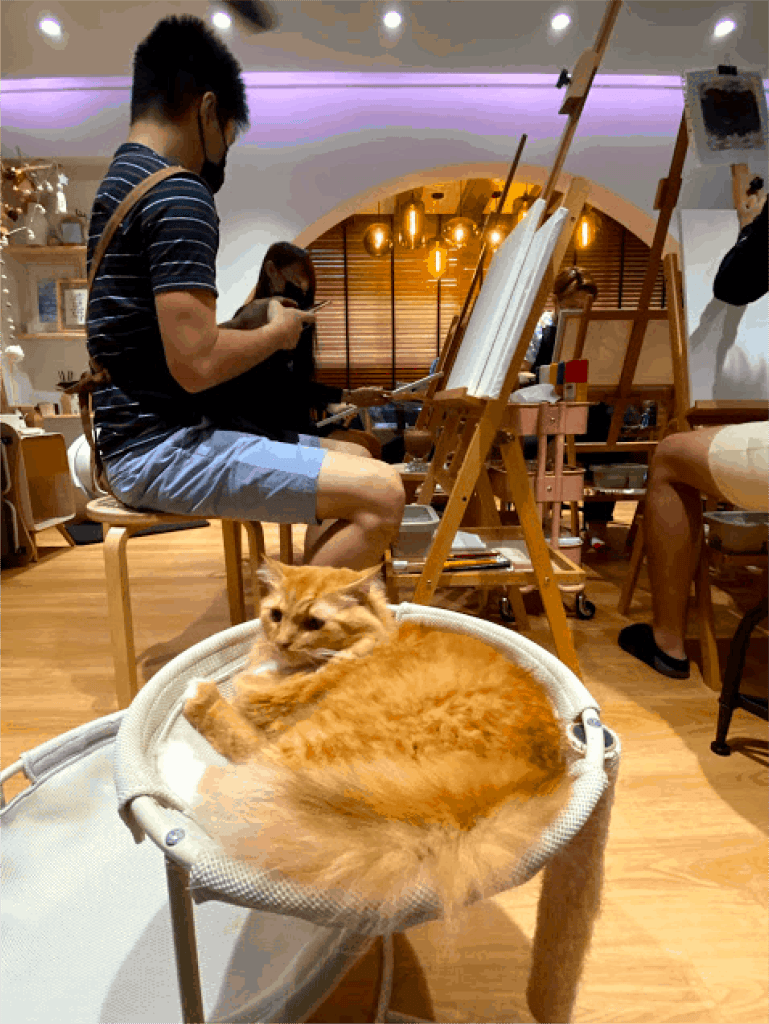 animal cafes singapore wildflower studios