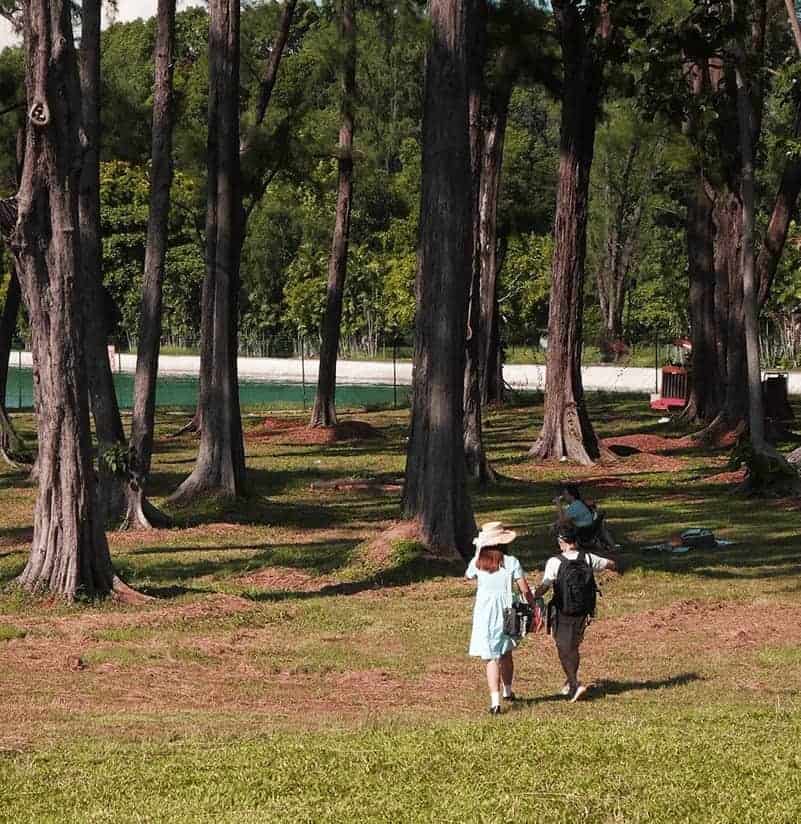 Singapore proposal ideas 6