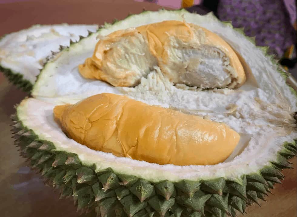 type of durians - red prawn