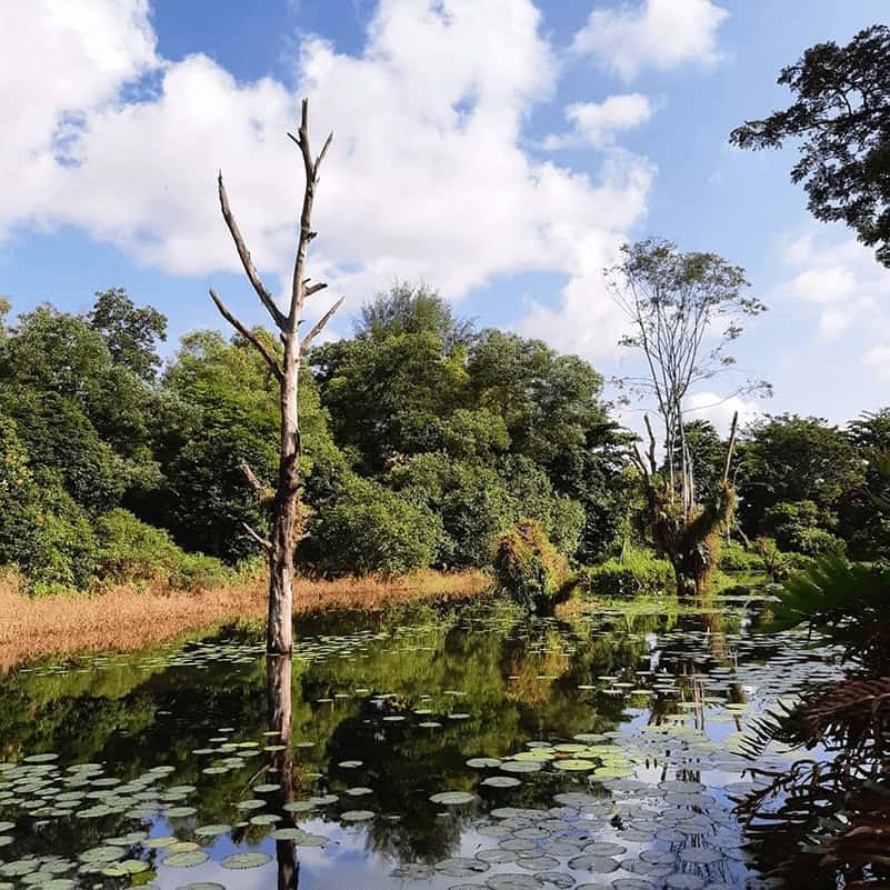 hampstead wetlands park