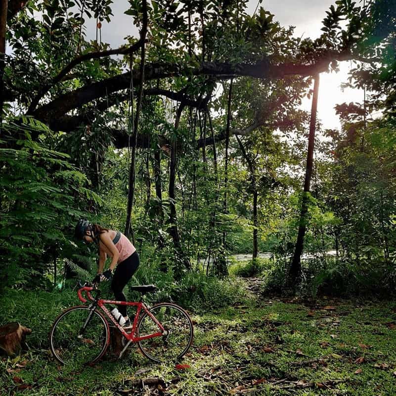 hampstead wetlands park