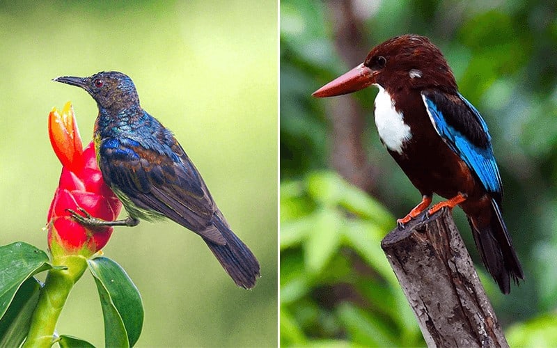 hampstead wetlands park