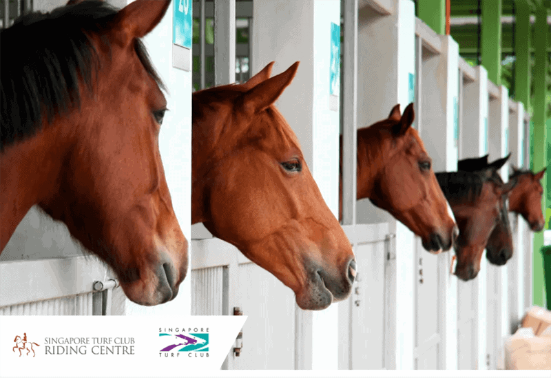 klook birthday sale 2021