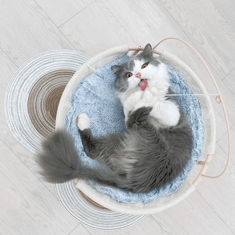 Paws Claws Petstore 1