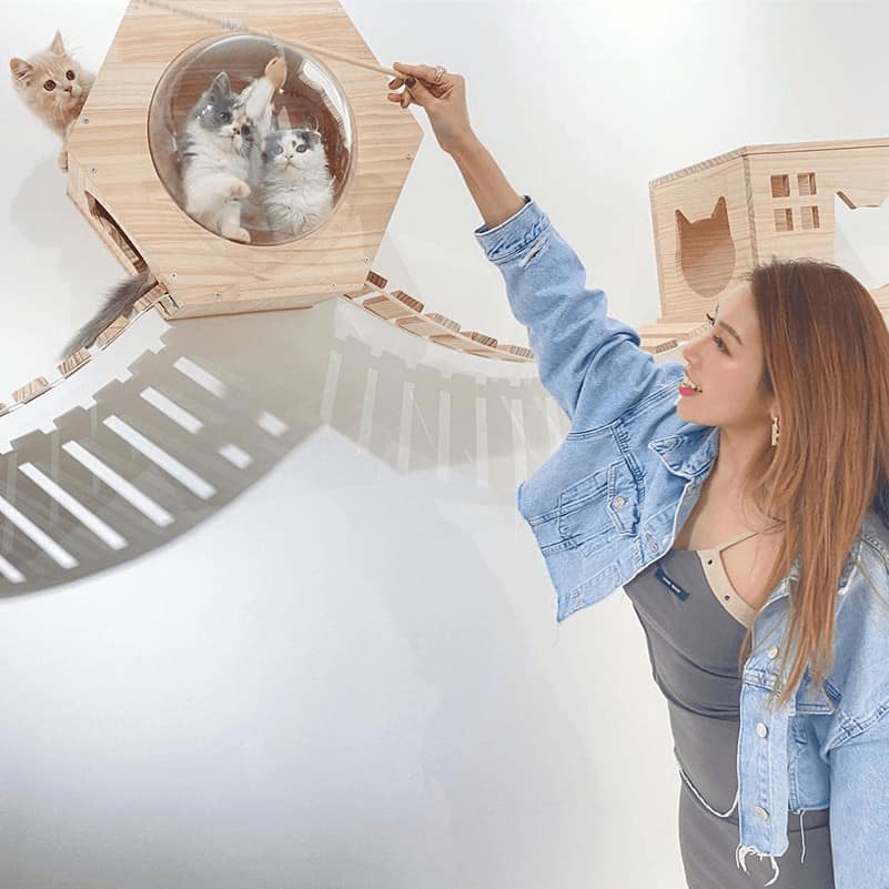 Paws Claws Petstore 2