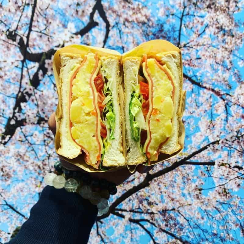 guide to beauty world