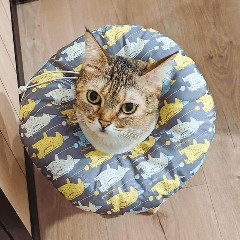 guide to beauty world