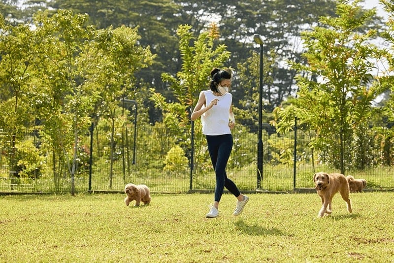 new bukit gombak park