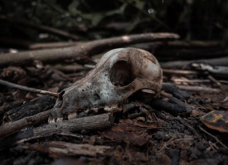 Abandoned spots Singapore