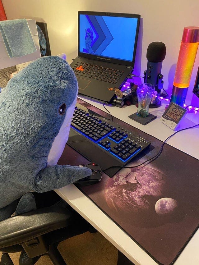 BLÅHAJ at the computer table