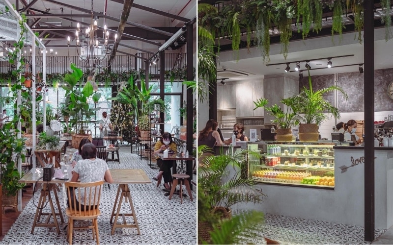 knots cafe & living pasir panjang