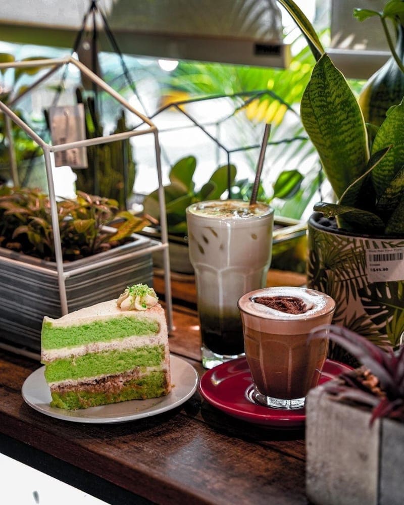 knots cafe & living pasir panjang