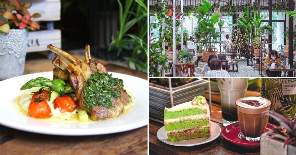 knots cafe & living pasir panjang