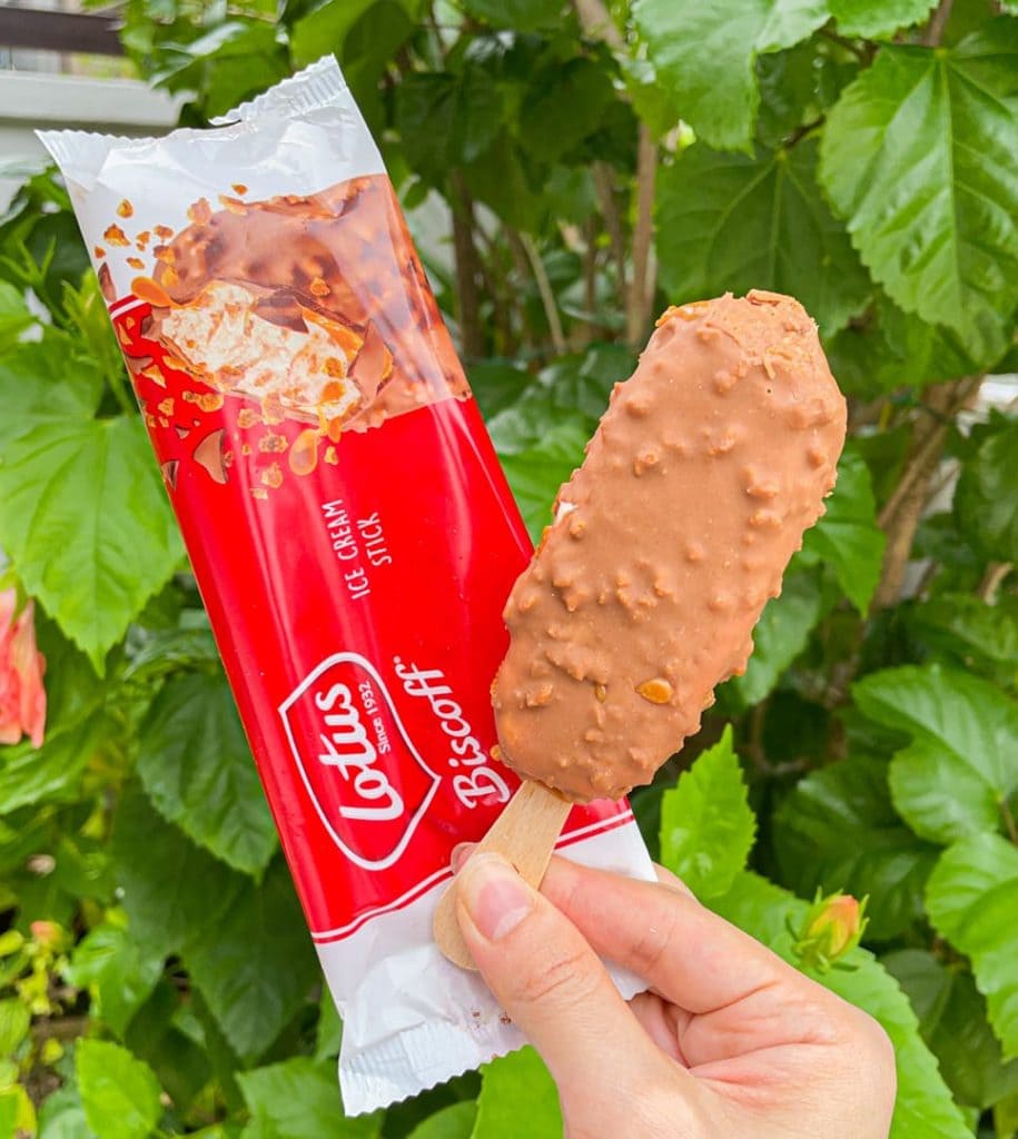 lotus biscoff ice cream