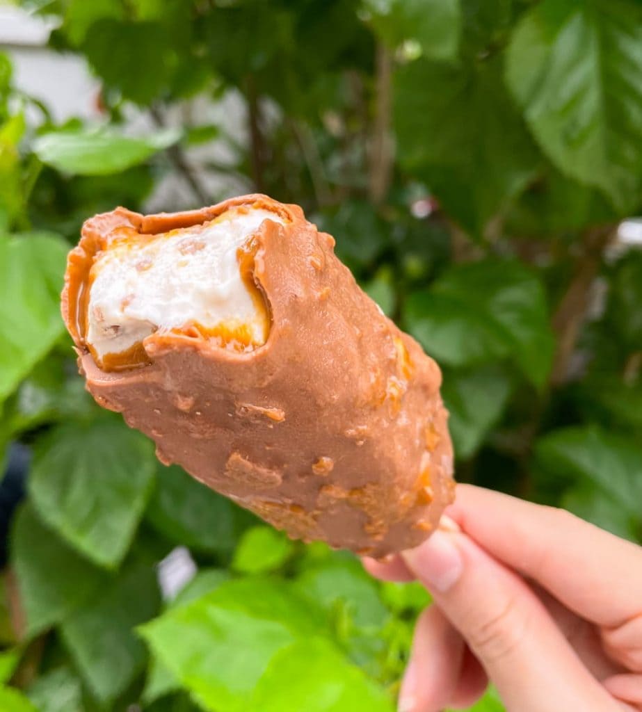 lotus biscoff ice cream