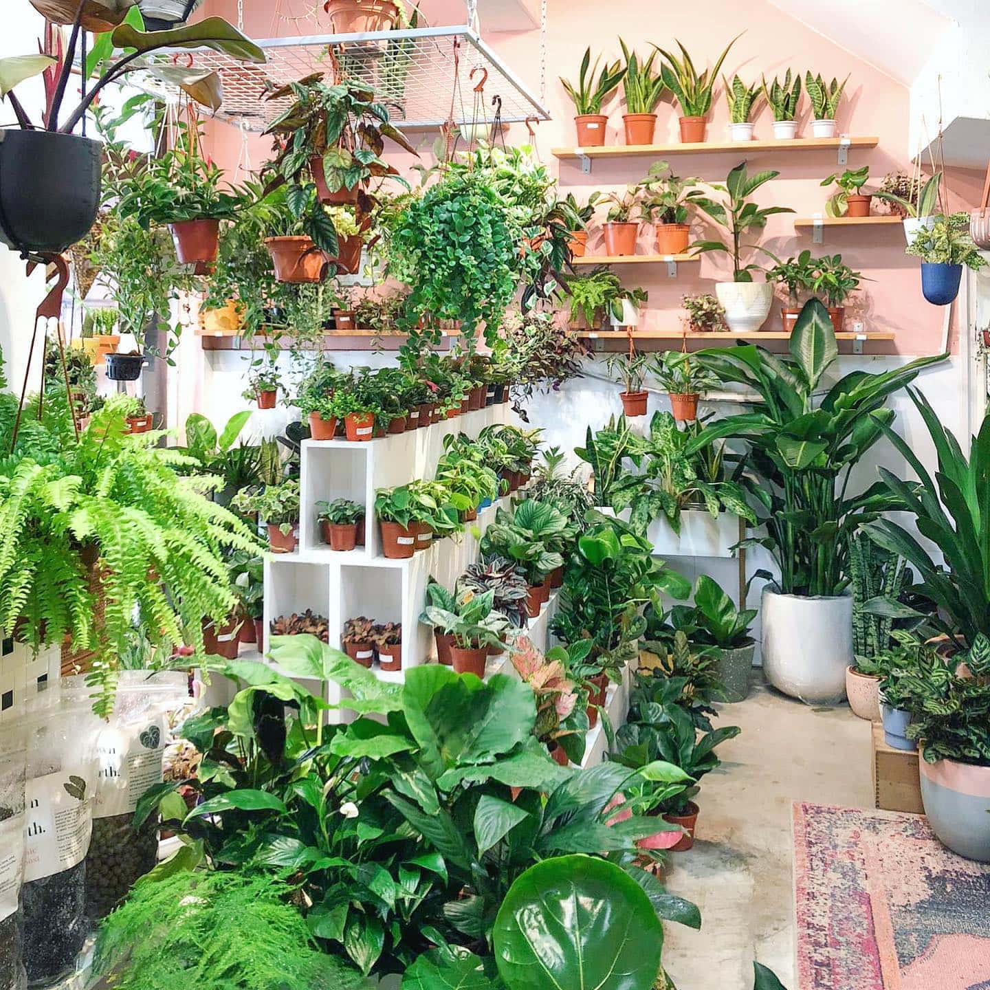 Nurseries Singapore