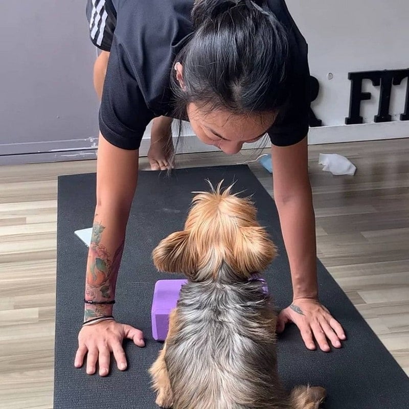 puppy yoga