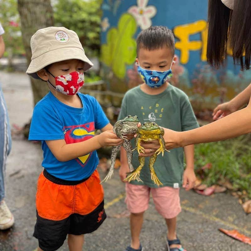 unique farms singapore 