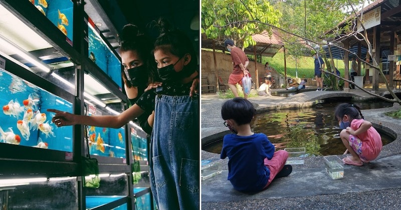 unique farms singapore 