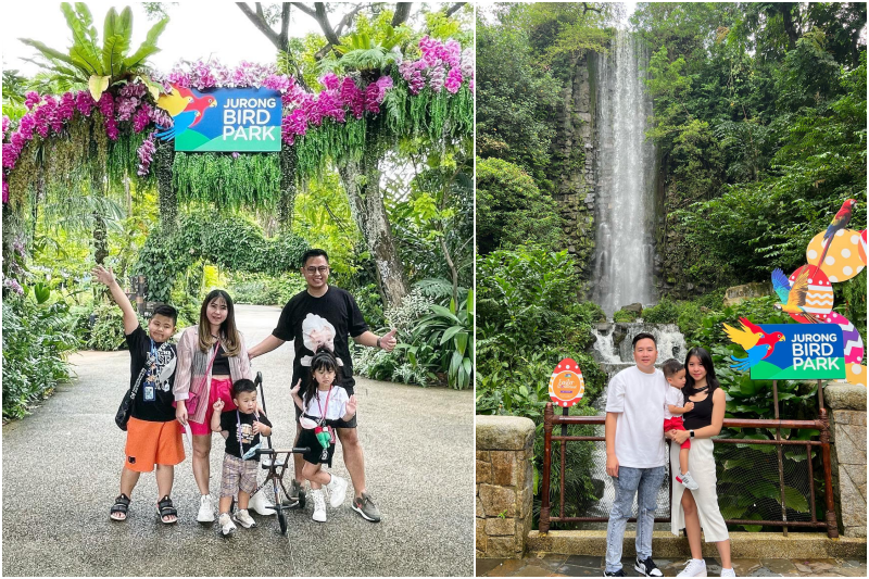 staycation with the flamingos