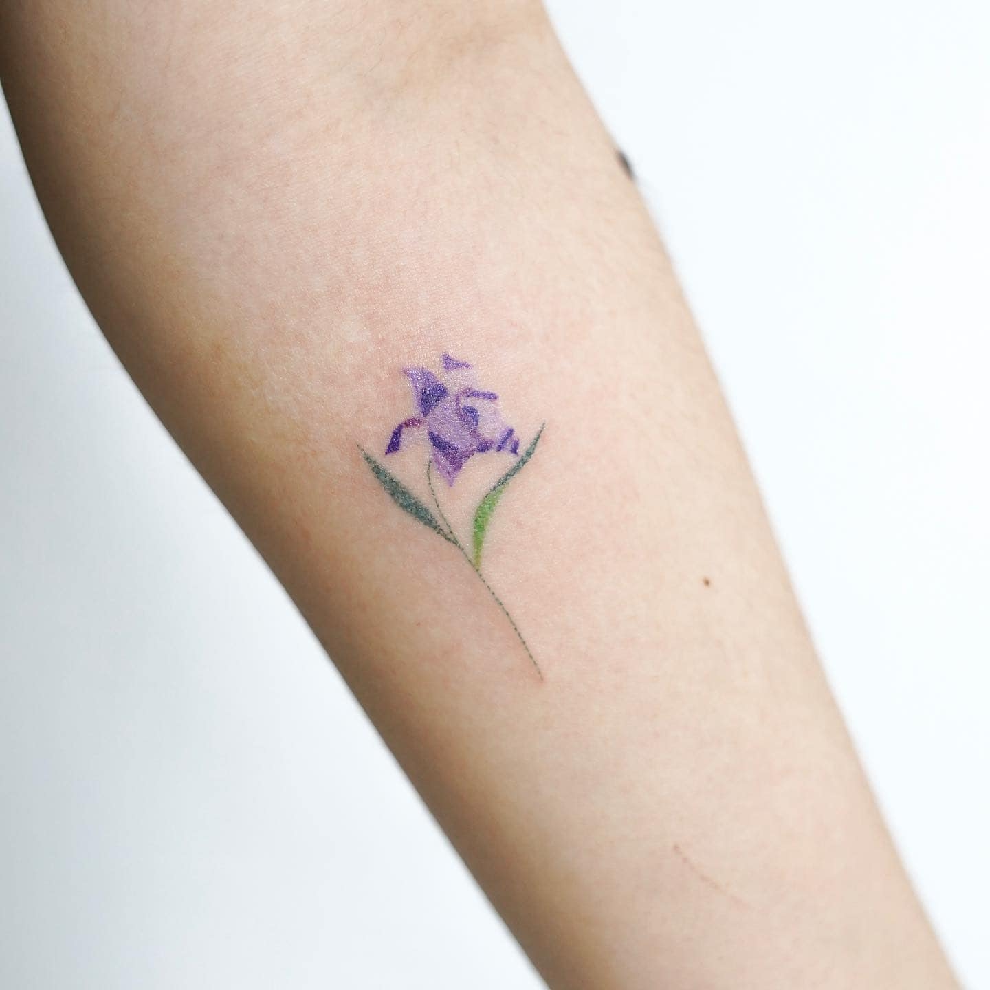 korean watercolour tattoo