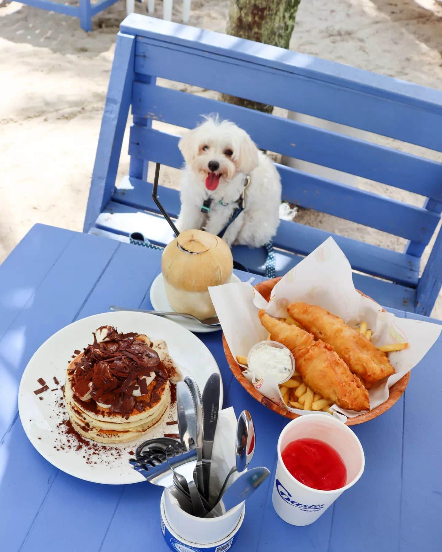 pet-friendly restaurant coastes sentosa