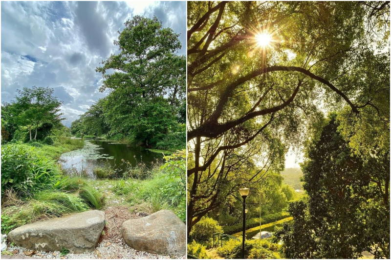 khatib nature corridor