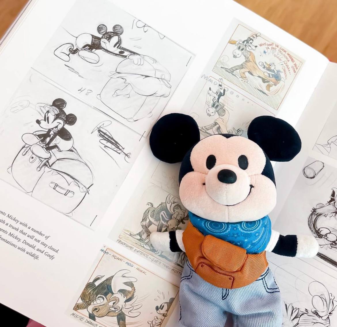 Disney mickey mouse plush