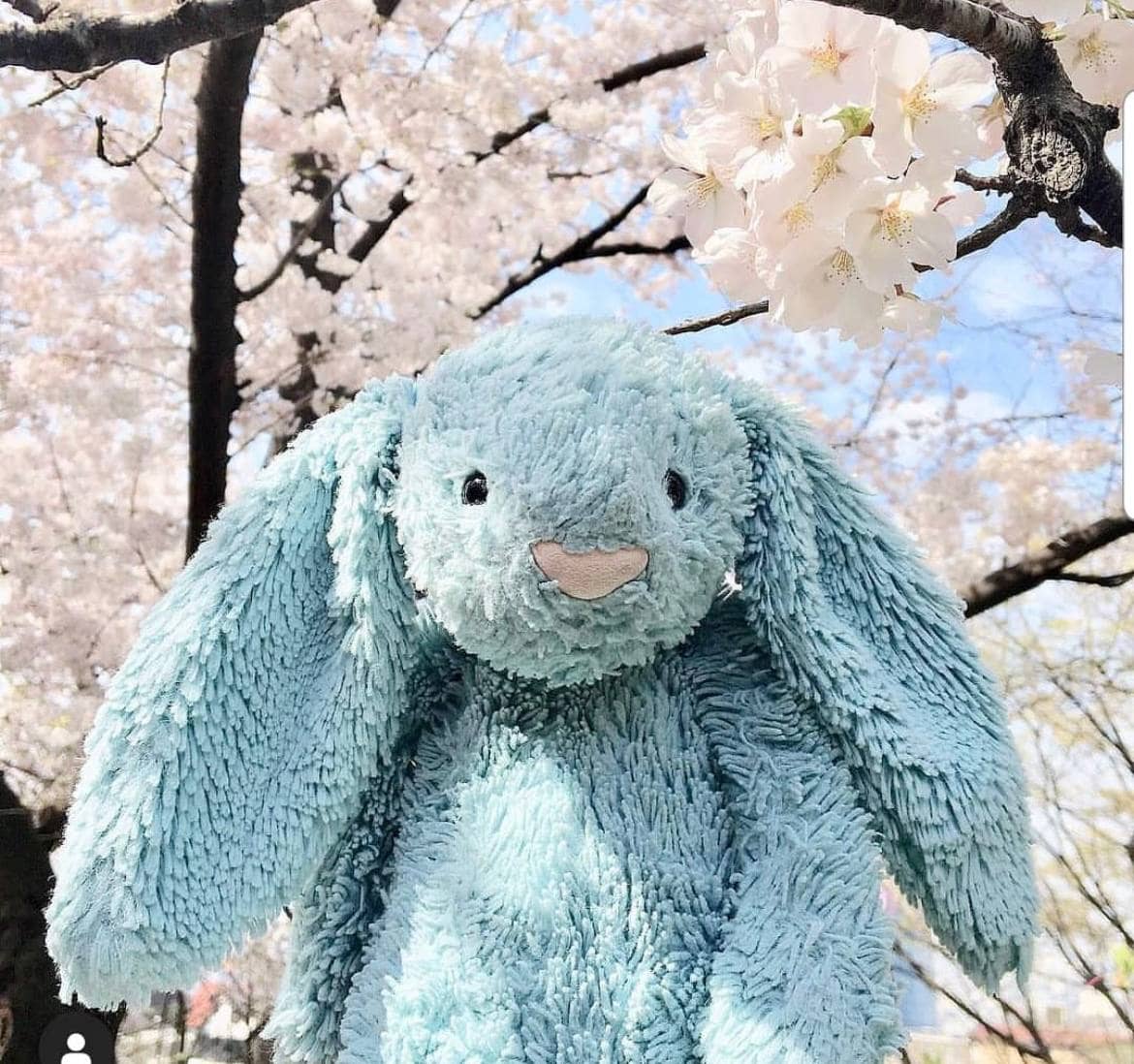 Deer Industries jellycats singapore bashful bunny