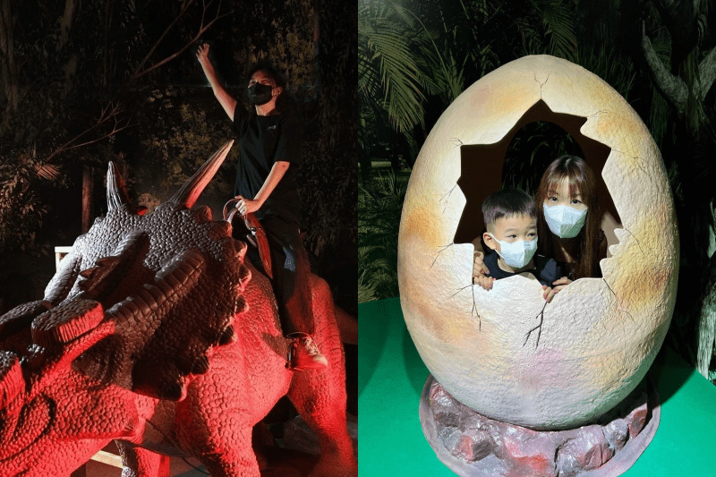 roarr! dinosaur adventure park