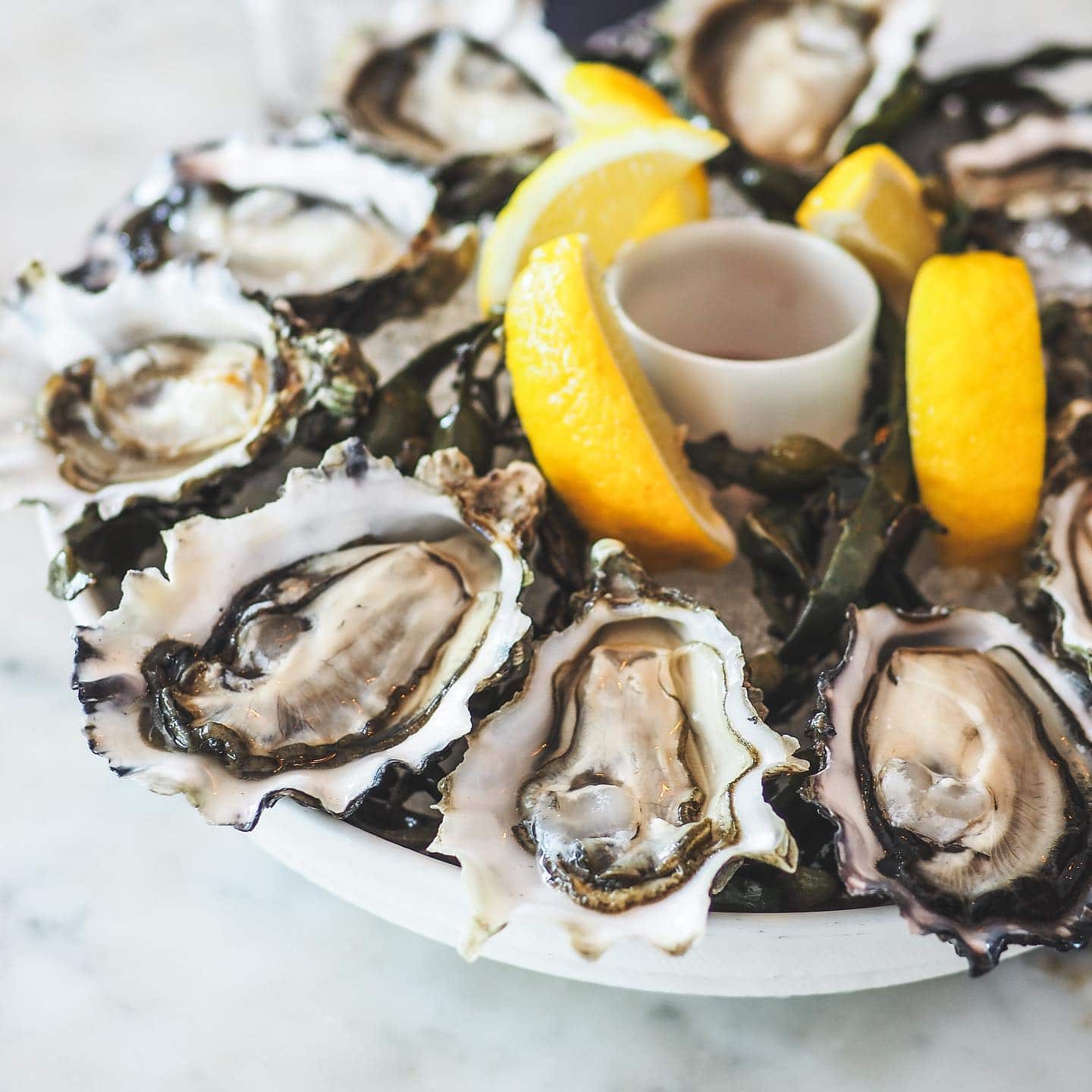 affordable oysters