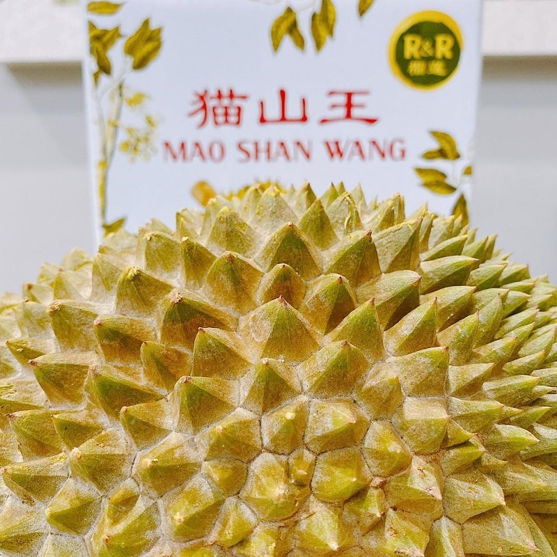 durian fiesta