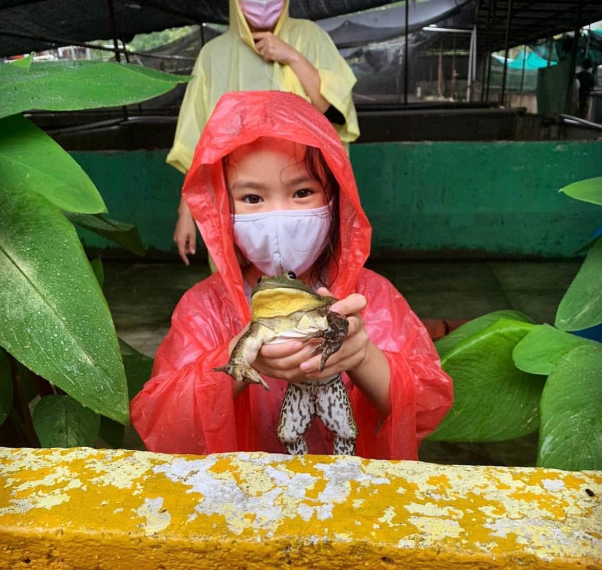 animal cafes singapore jurong frog farm