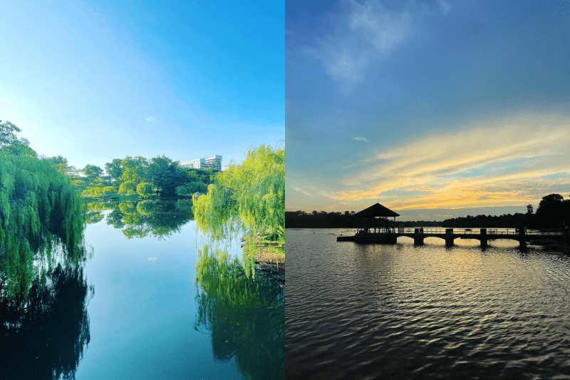 picnic spots in singapore