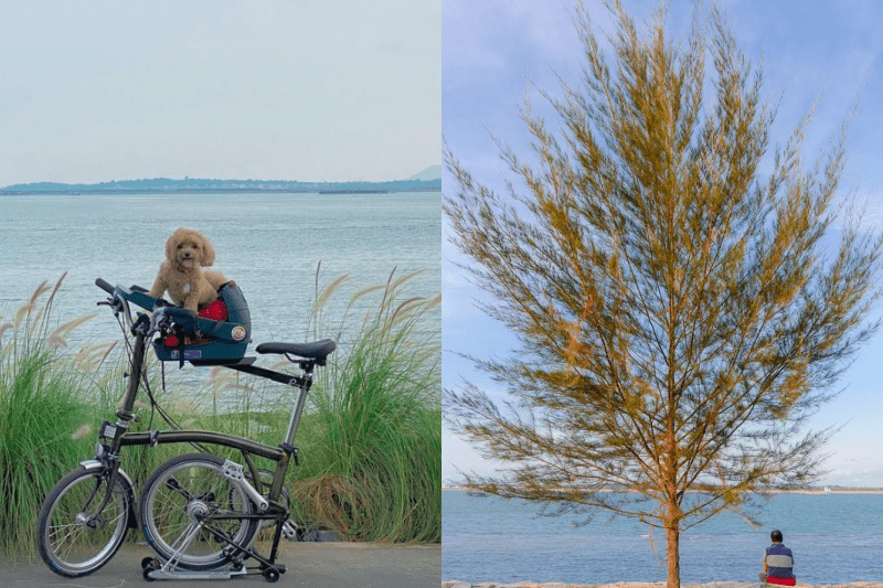 picnic spots in singapore