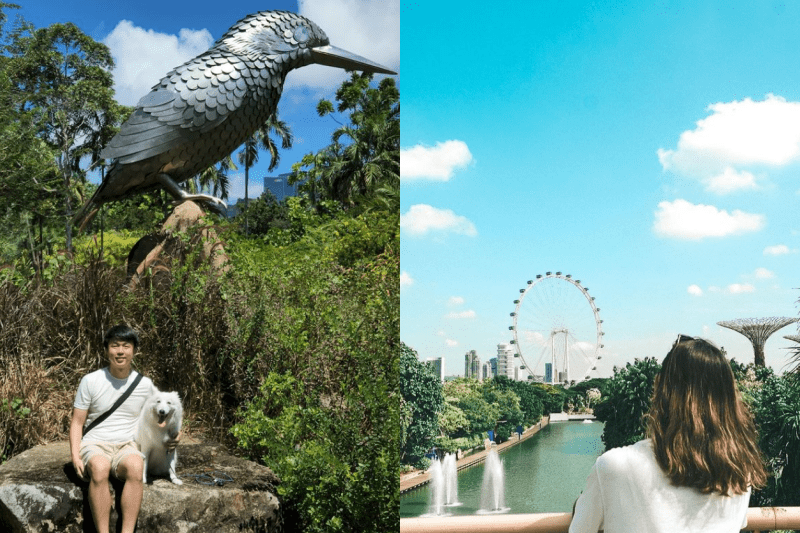 picnic spots in singapore