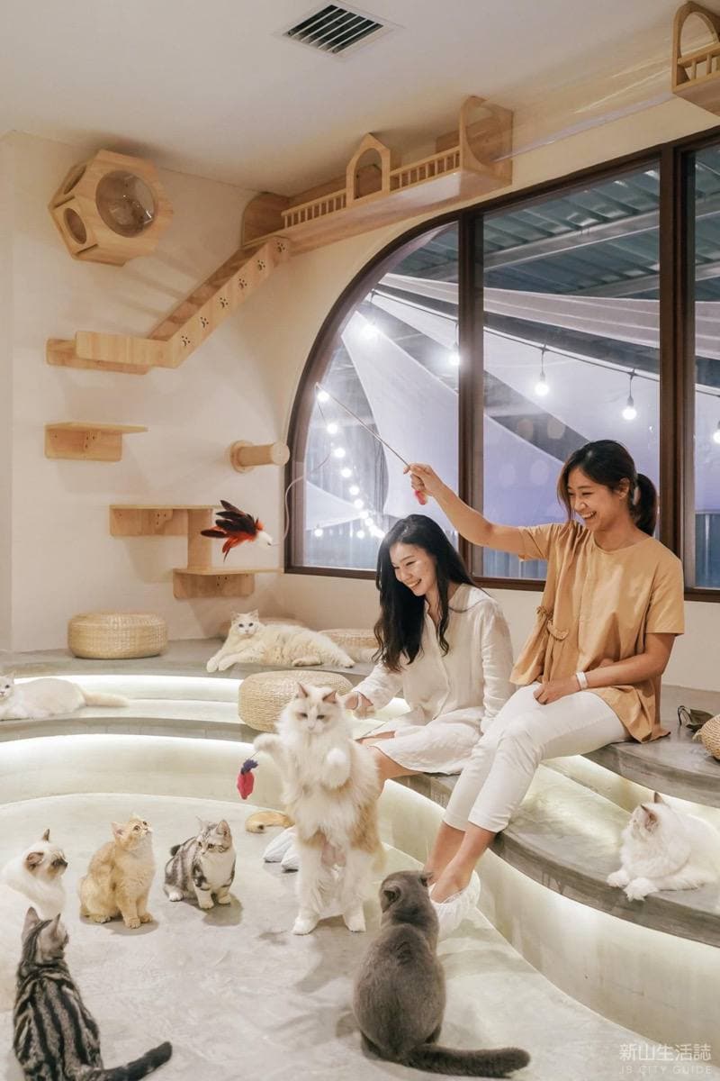 HOME by Tales of Paws Dog and Cat Cafe JB